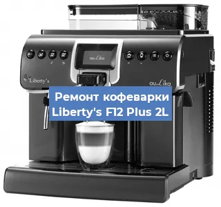 Чистка кофемашины Liberty's F12 Plus 2L от накипи в Ижевске